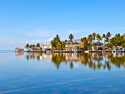 Miami glass bottom boat Trip Booking