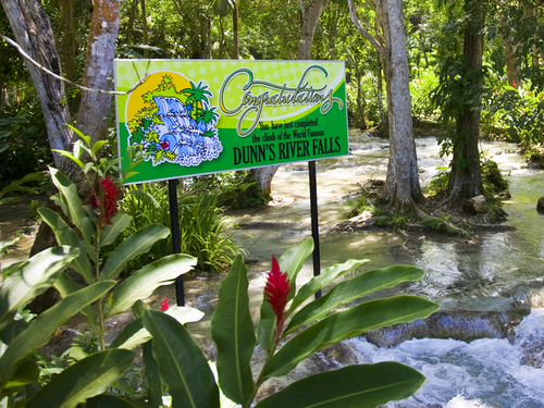 Montego Bay Dunn's River Falls Tubing Excursion Booking