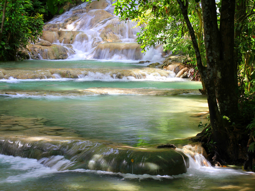 Montego Bay Jamaica Fun Tubing Excursion Booking