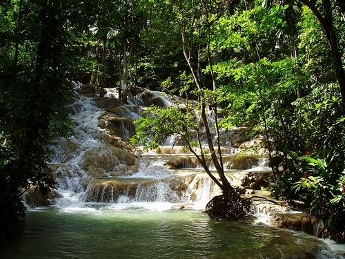 Montego Bay Jamaica Falls Tubing Tour Booking