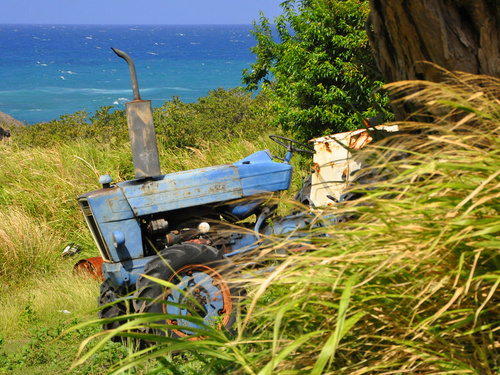 St. Kitts Mount Liamuiga Excursion Reservations