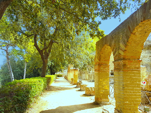 Naples  Italy Cuma Ruins Shore Excursion Booking