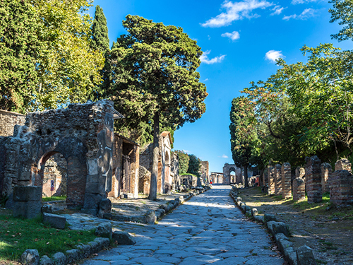 Naples Italy Volcano Sightseeing Tour Cost