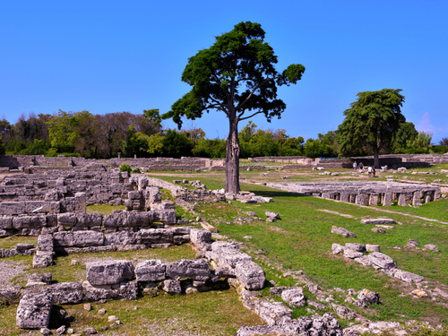 Naples greek temples Tour Prices