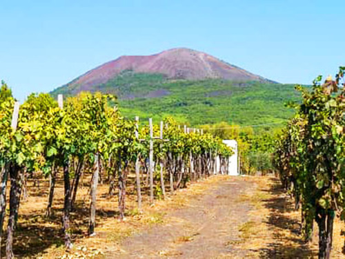 Naples Private Pompeii Ruins with Winery Visit Excursion