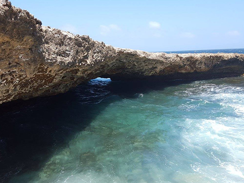 Curacao Beach Excursion Reviews