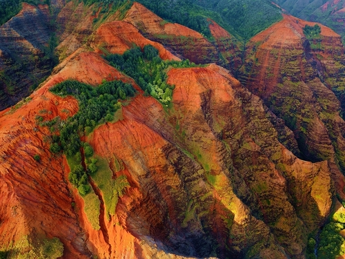 Nawiliwili - Kauai Canyon Sightseeing Excursion Booking