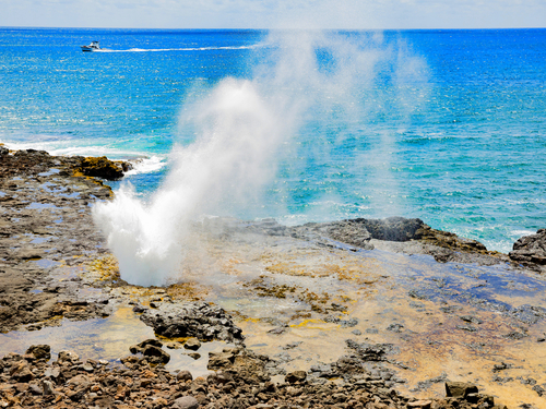 Nawiliwili - Kauai Canyon Sightseeing Shore Excursion Reservations