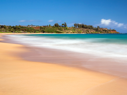 Nawiliwili Kauai Wailua River Tour Booking