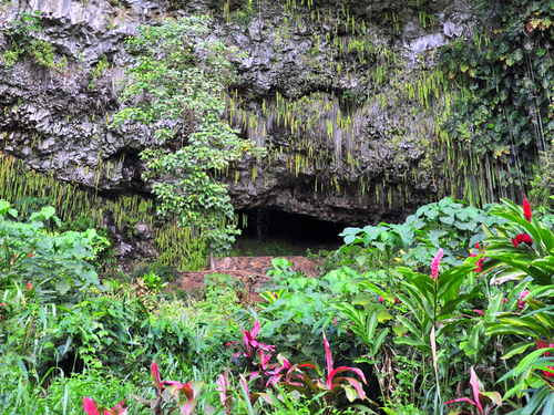 Nawiliwili Kauai Kealia Beach Shore Excursion Tickets