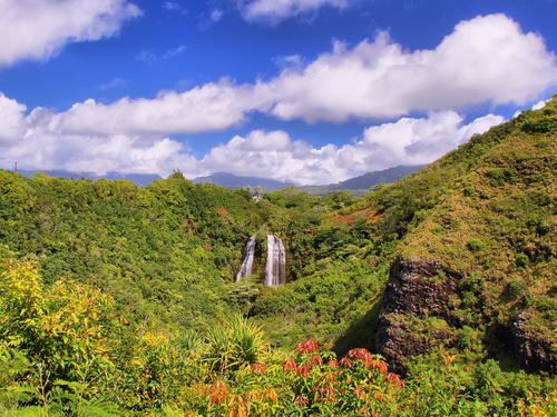 Nawiliwili Kauai NaMolokama Cruise Excursion Reservations