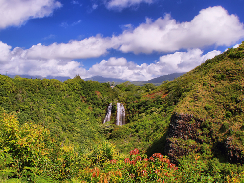 Kauai (Nawiliwili) Wailua River Excursion Prices