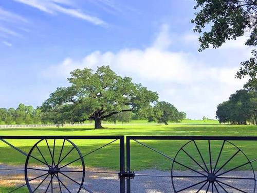 New Orleans Oak Alley House Shore Excursion Prices