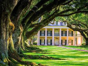 New Orleans Oak Alley Plantation Excursion