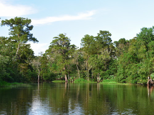 New Orleans  Louisiana / USA Bayou  preserve Tour Tickets