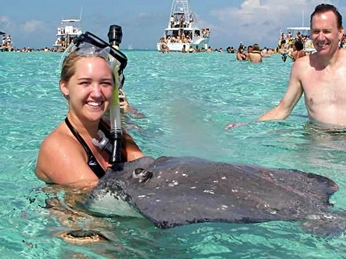 Grand Cayman stingray city Reservations