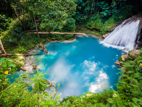 Ocho Rios Jamaica blue hole Tour Booking