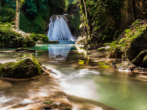 Ocho Rios Jamaica Family Sightseeing Shore Excursion Prices