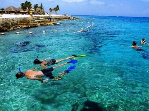 Cozumel  Mexico snorkeling in beautiful water Tour