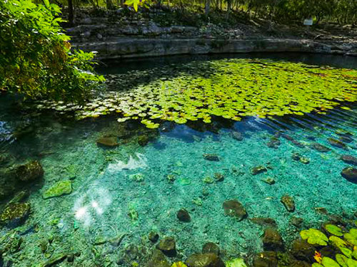 Progreso  Yucatan private guided  Reviews