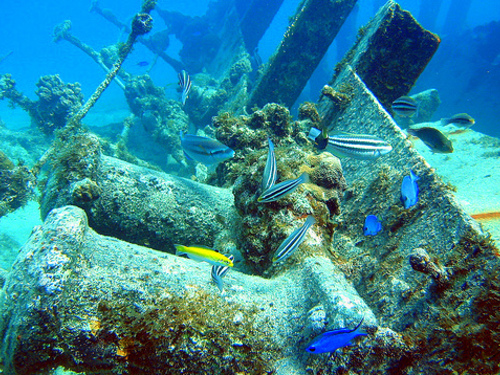 Grand Cayman  Grand Cayman (George Town) Beginner SCUBA Trip Cost