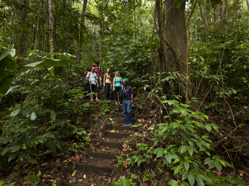 St. Lucia (Castries)  Waterworks Reserve Trip Reservations