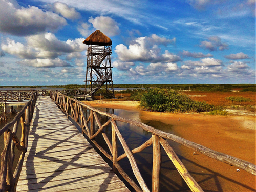 Playa del Carmen (Calica)  Mexico Punta Sur Park Excursion Tickets