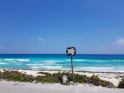 Playa del Carmen (Calica) Punta Sur Park Shore Excursion Prices