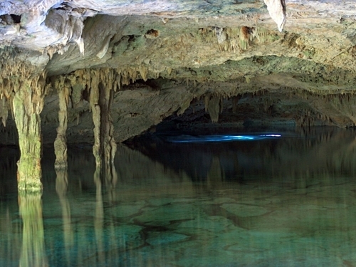 Playa del Carmen Cave Snorkel Shore Excursion Prices