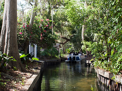 Port Canaveral (Orlando) Disney Springs Tour Booking