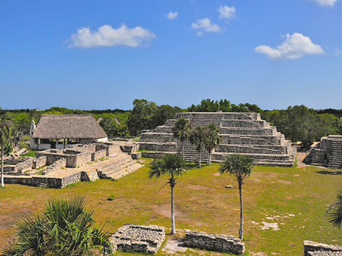 Progreso Family Excursion Cruise Excursion Reviews