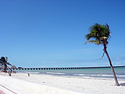 Progreso Merida City Highlights Excursion Reservations