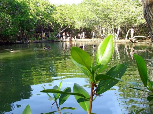 Progreso (Yucatan) Beach Club Excursion Booking