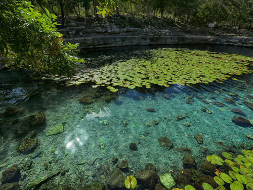 Progreso Yucatan Mayan Ruins Tour Reservations