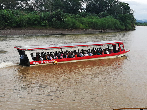 Puerto Caldera American Crocodile Sightseeing Tour Reservations