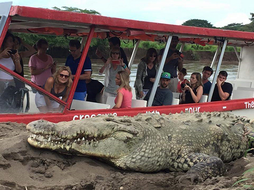 Puerto Caldera Costa Rica Rainforest ATV Tour Reviews