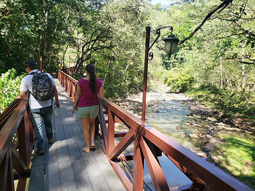 Puerto Caldera Costa Rica Flora and Fauna Cruise Excursion Tickets