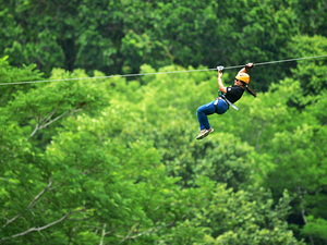 Puerto Caldera Zipline Canopy Adventure and Boat Safari Excursion