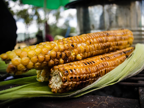 Puerto Quetzal Atol Cooking Trip Cost