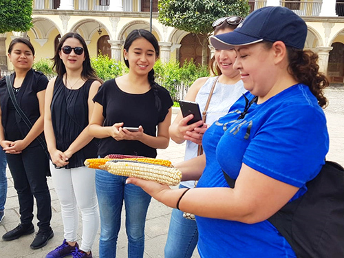 Puerto Quetzal Capuchinas Convent Tour Booking