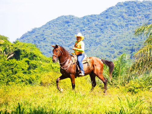 Puerto Vallarta Horseback Riding Tour Reviews