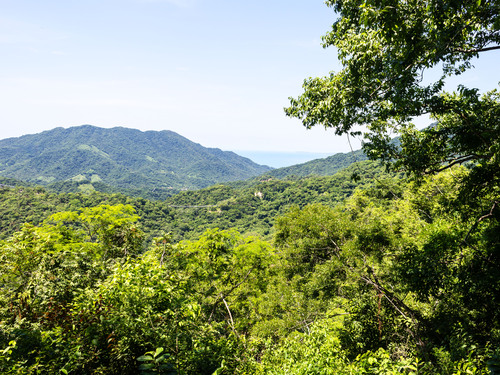 Puerto Vallarta Jorullo Point Hiking Tour Reservations