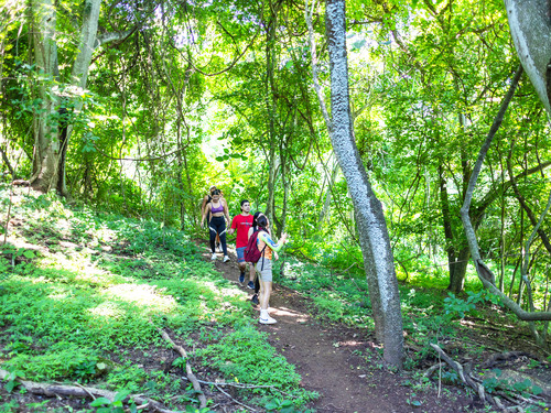 Puerto Vallarta Jorullo Point Hiking Trip Prices