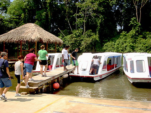 Puntarenas Costa Rica American Crocodile Zipline Tour Prices