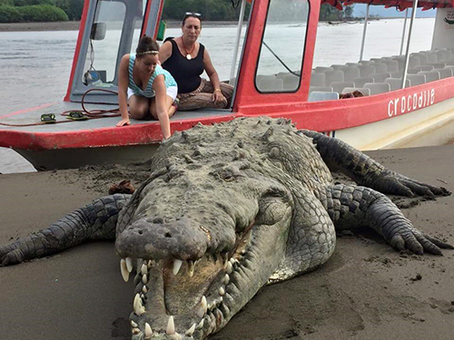 Puntarenas American Crocodile Shore Excursion Prices