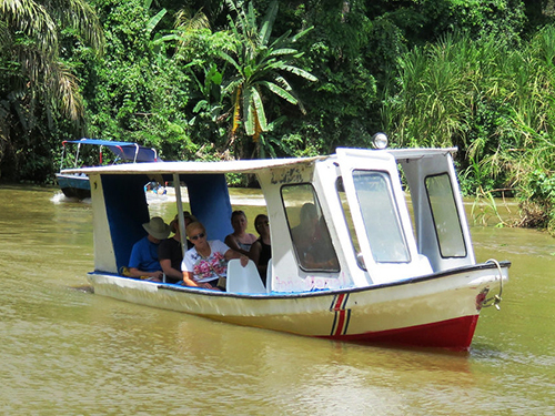 Puntarenas American Crocodile Cruise Excursion Reviews