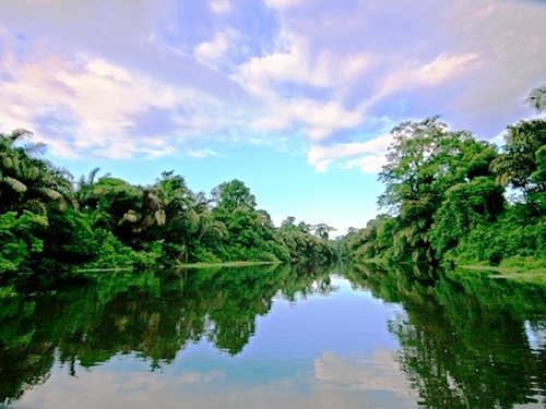 Puntarenas American Crocodile Cruise Excursion Reservations