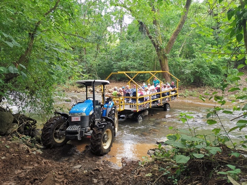 Puntarenas  Costa Rica Carara National Park Excursion Cost