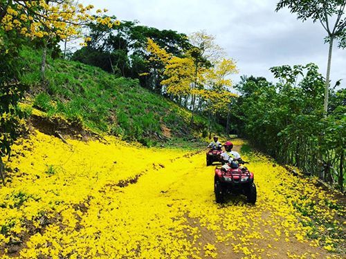 Puntarenas Costa Rica Carara Park Adventure Cruise Excursion Cost