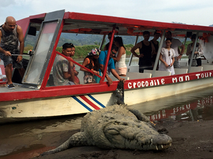 Puntarenas Rainforest Treetop Skywalk and Tarcoles River Cruise Excursion